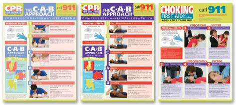 Childrens 1st Support Poster Established -3 photo about Free Printable Choking Poster called Childrens Initially Assistance Poster Fastened -3